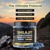 Shilajit Gummies