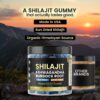 Shilajit Gummies
